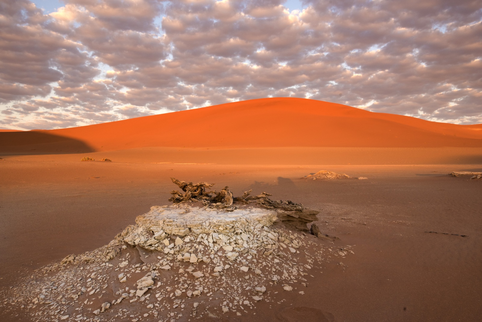 Sossusvlei. Deserto del Namib. Namibia
