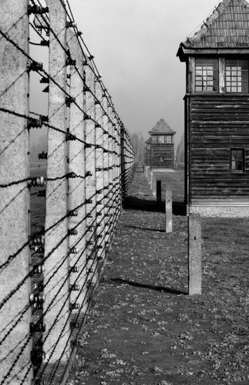 Poland Birkenau (Concentration Camps) 2010
