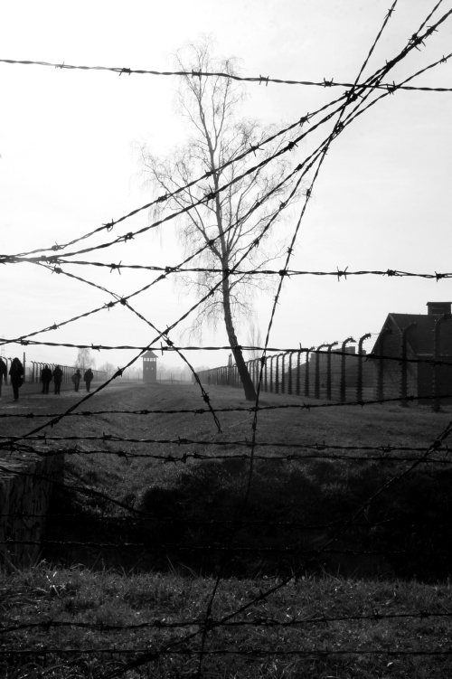 Poland Birkenau (Concentration Camps) 2010