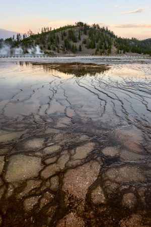 Yellowstone NP, Wyoming (USA)