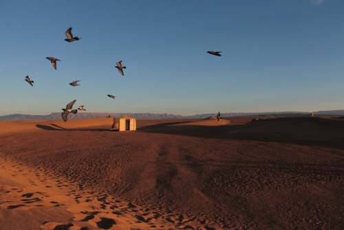 Sahara, Marocco 2013